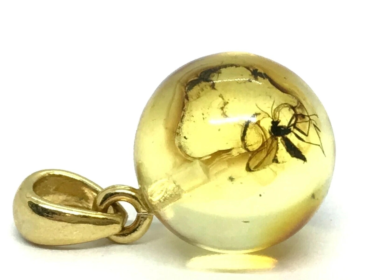Amber pendant 2024 with insect
