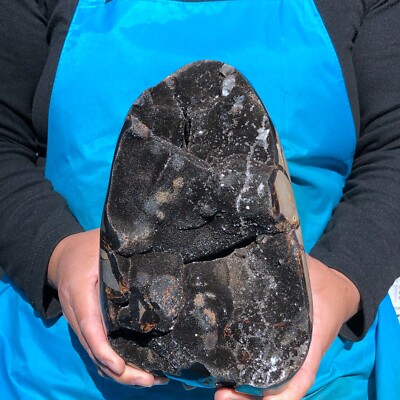10.4LB Natural Turtle Back Stone Dragon Crystal Cave Crack Gem Healing 2494