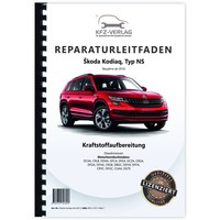 Skoda Kodiaq NS Ab 2016 Kraftstoffversorgung Dieselmotoren Werkstatthandbuch