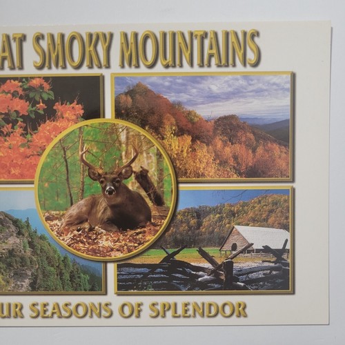 Four Seasons Great Smokey Mountains National Park Continental Chrome Postcard - Picture 3 of 6