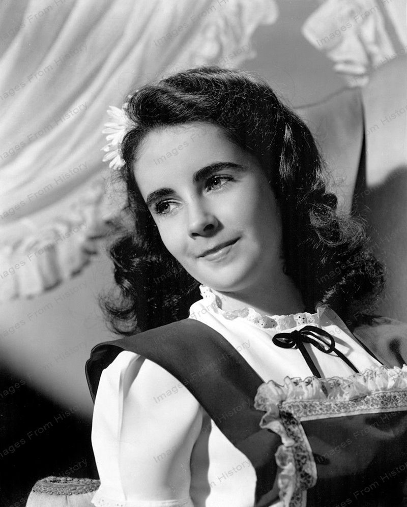 ELIZABETH TAYLOR    絵 8x10 Print Elizabeth Taylor 1945 Portrait by Clarence Bull #ET993