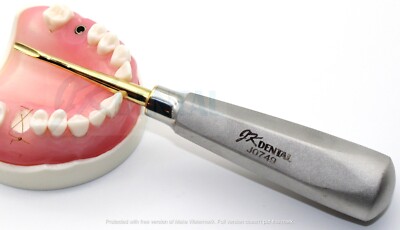 Dental Elevators 77R Serrated Gold Tip. Upper Roots 3rd Molars.