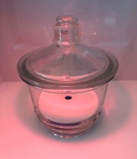 Large Pyrex 200mm (8-Inch) Vacuum Desiccator w/Plate Nice Condition Made in USA