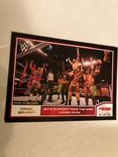 #44 2014 TOPPS WWE DANIEL BRYAN 'bronze