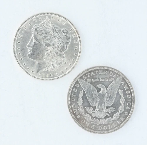 1896 Morgan Dollar BU Roll of 20 S$1 Coins Brilliantly Uncirculated USA Silver