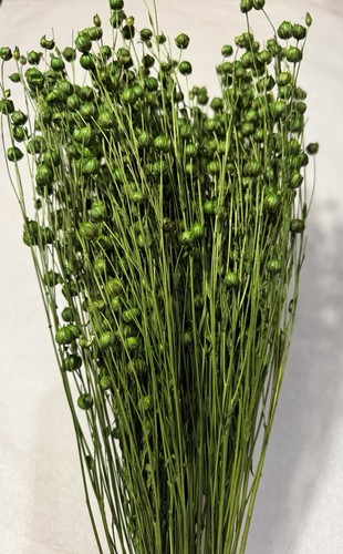 TROCKEN HAFER & FLACHS STRÄUSSE OSTERN HOCHZEIT FRÜHLING DEKO BLUMEN IN GRÜN 2x 90g - Bild 2 von 3
