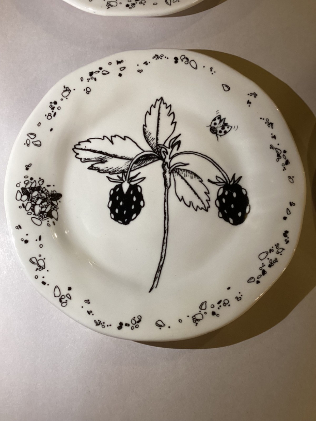 4 Creative Co-op 6”  Insect Plates in Excellent Condition