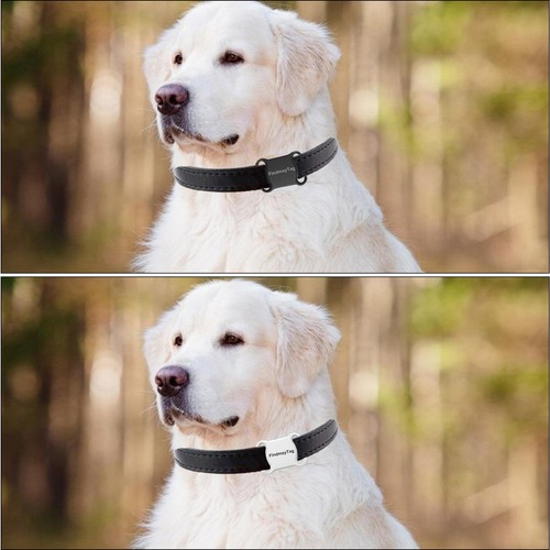 Mini Pet GPS Tracker Waterproof Collar for Cat Dog Locator GPS GSM Alarm Tracker