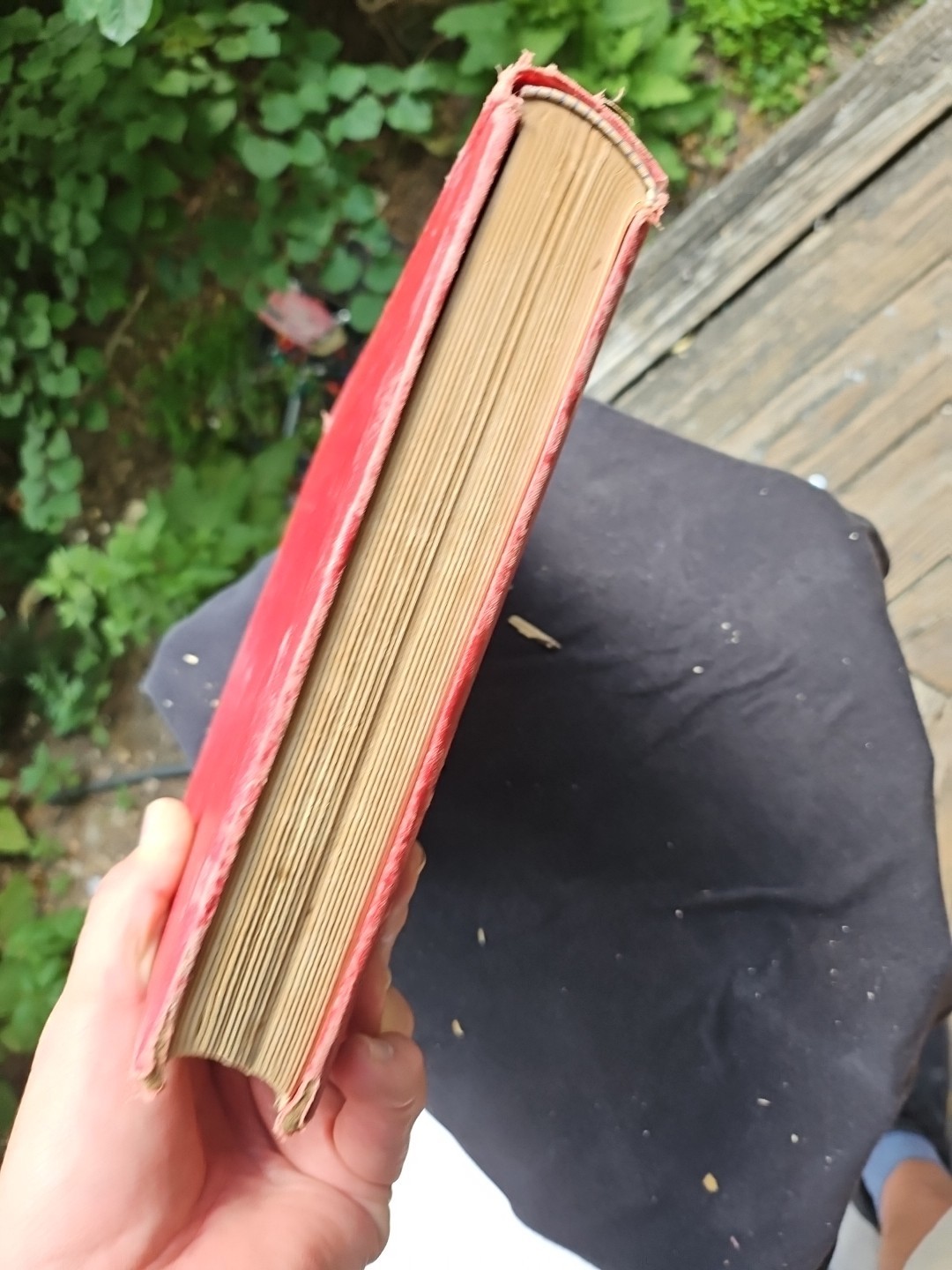 1890 Antique Classic Novel "The Pilgrim's Progress" John Bunyan Rough Condition 