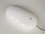 Bild 4 von 12