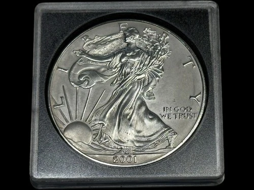 2001 1 Oz. Fine Silver American Eagle $1 Coin - See Description (3/10-4)