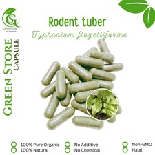 100-1000 CAPSULES Typhonium Flagelliforme Rodent Tuber 600mg Fresh Natural Herb