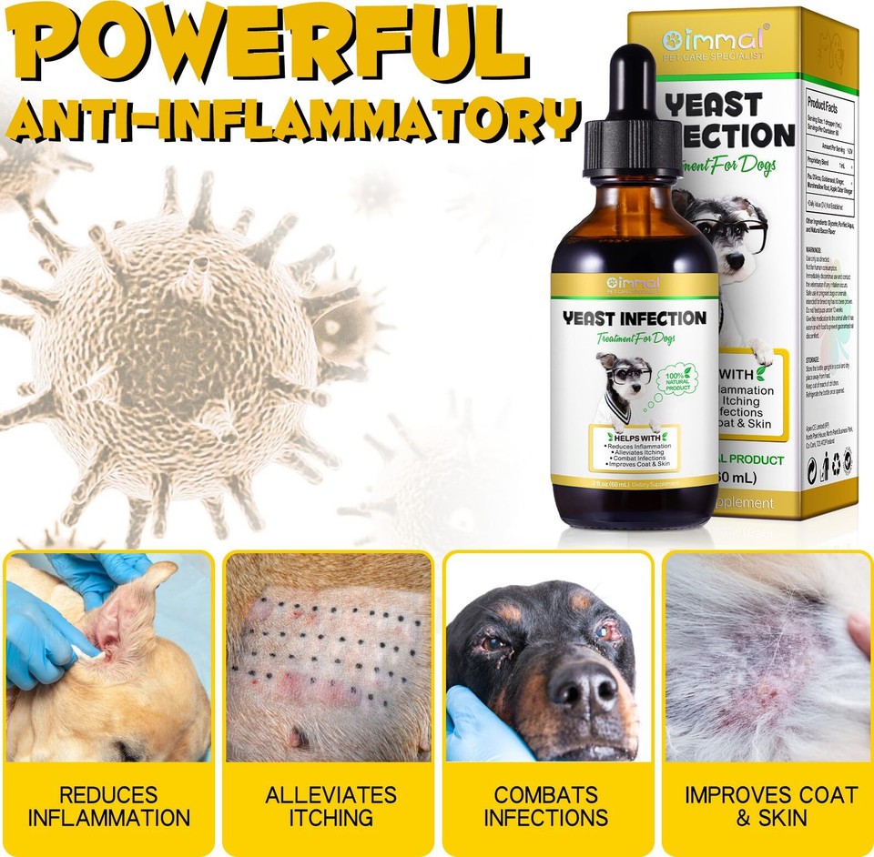 Infection Treatment for Dogs, Dog Ear Infection Treatment Supports