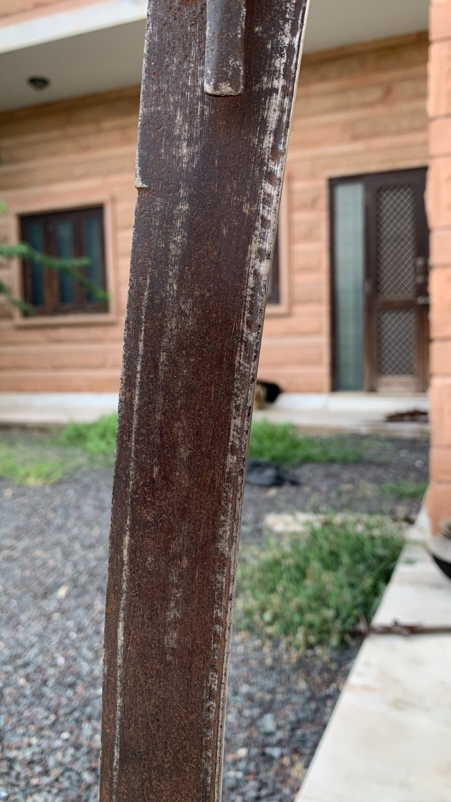 Picture 8 of 12
