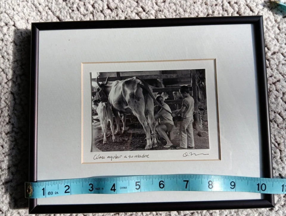 Arte fotográfico en blanco y negro enmarcado titulado firmado Orah Moore Vermont artista granja Foto 2 de 4