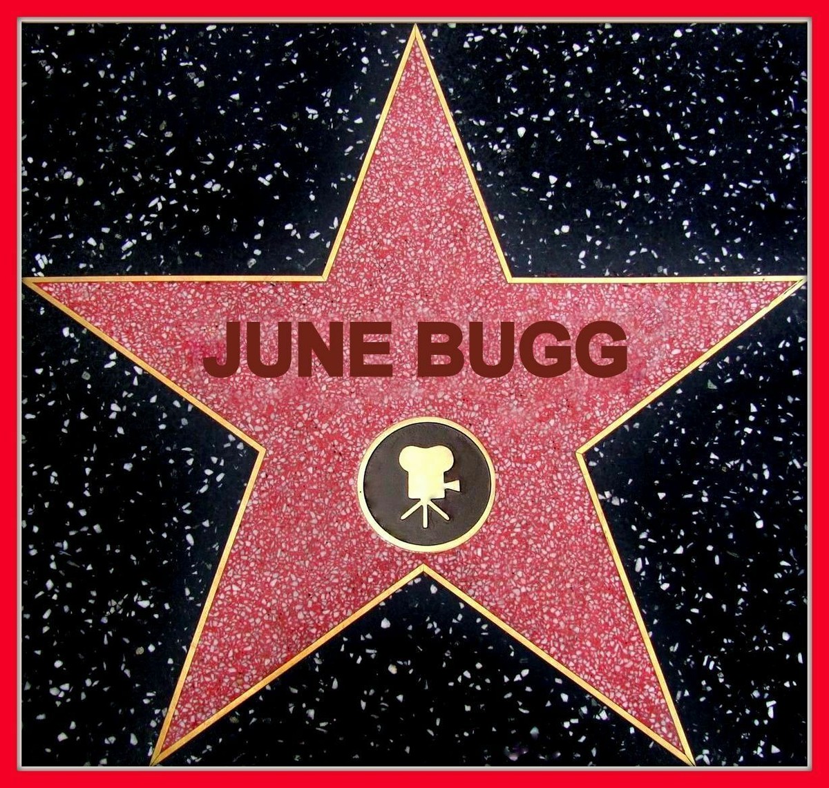 Star OF HOLLYWOOD SH39310 105OFF XL② s-l1200.jpg