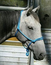 Handcrafted FULL Rope Halter Blue - Horse Riding Headstall Equine