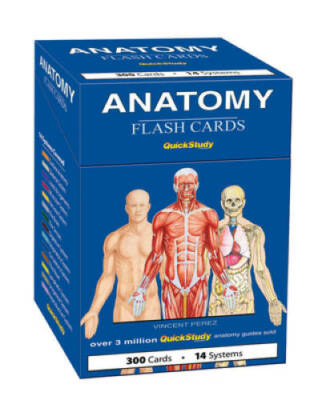 Anatomy (Quickstudy (Flash Cards)) - Cards By BarCharts, Inc. - GOOD