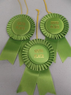 3 pack - green SIXTH Place Rosette Ribbon wide streamer  3 1/2'' x 6'' with string