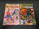 1980 MARVEL COMICS AMAZING SPIDER-MAN #201 NEWSSTAND & #206 VG+ VINTAGE PUNISHER