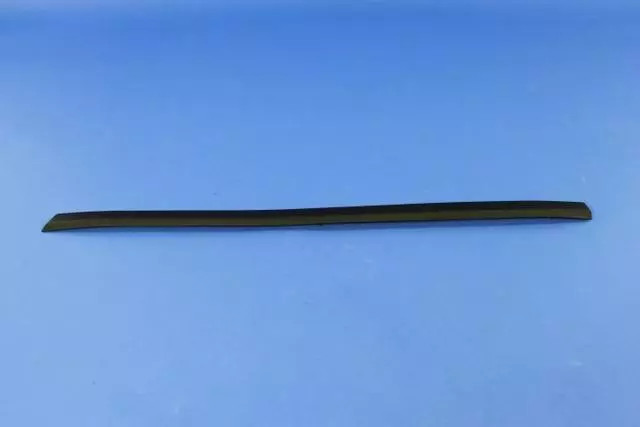 Genuine Mopar Front Door Molding Right ZR54RXFAA