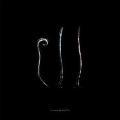 Crowd Of Rebellion, A - Iii CD #G161487