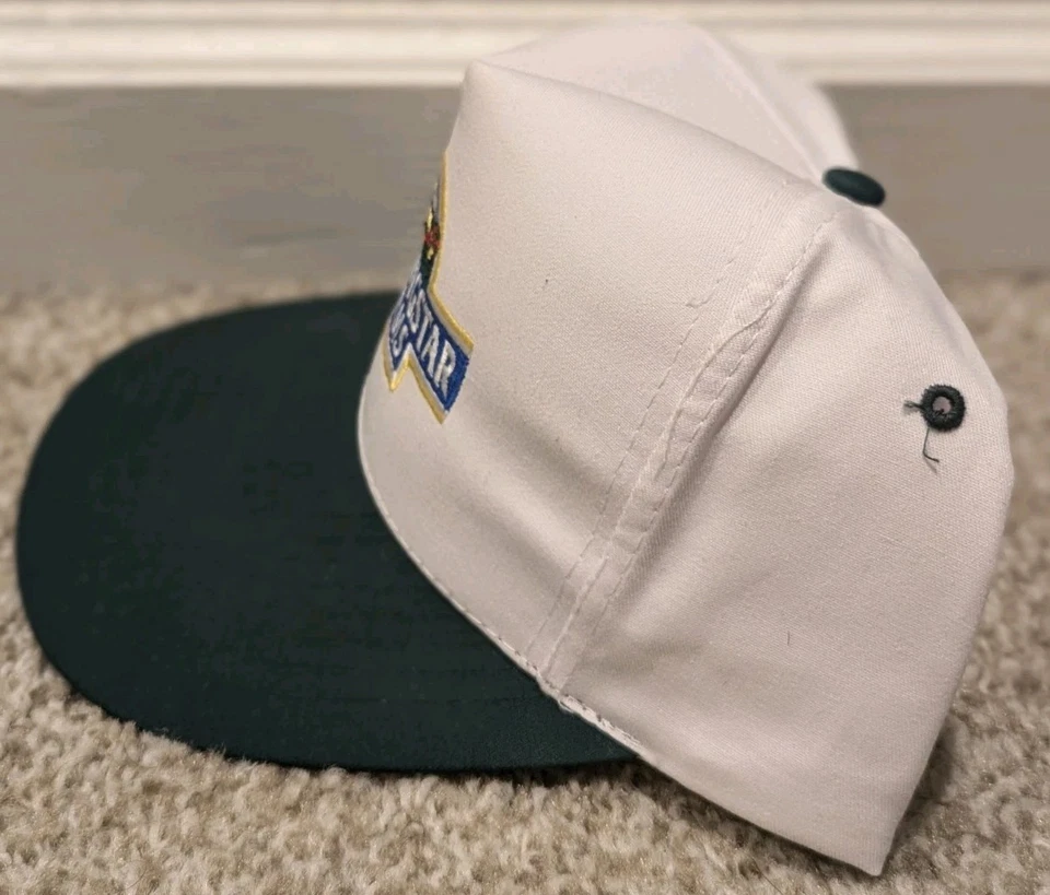 Vintage 80s 90s Morningstar Farms Snapback Hat Cap RARE vegan vegetarian punk - Image 4 of 4