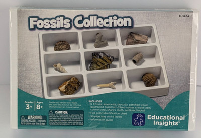 Educational Insights Fossils Collection EI-5204 Set 9 Real Specimens New Sealed