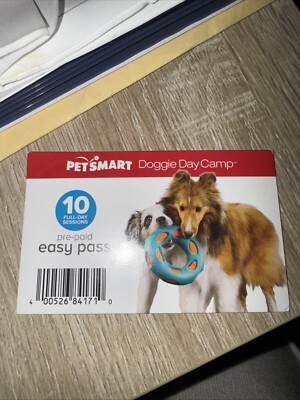 Pet Stores Petsmart Doggie Day Camp Hours PetSmart The Dog Days