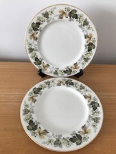 2 x 26.5cm Royal Doulton Translucent China Dinner Plates - Larchmont