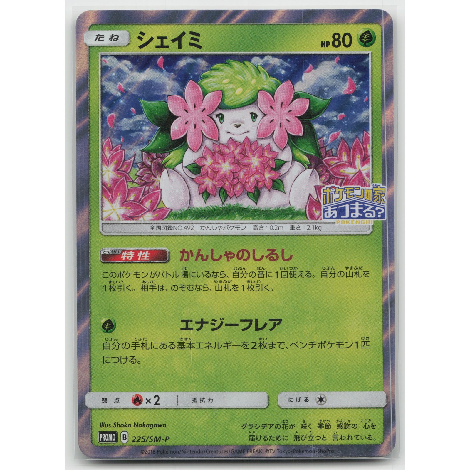 Shaymin Holo SM-P: Sun & Moon Promos 225/SM-P NM Japanese Pokemon
