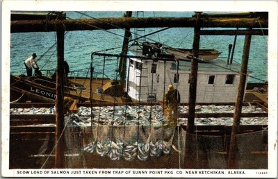 Scow Load Of Salmon Postcard Ketchikan Alaska Sunny Point Pkg Co C21