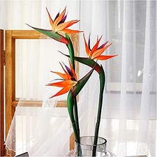 3 PCS 32 Inch Orange Red Large Bird of Paradise Permanent Artificial Flower, ...