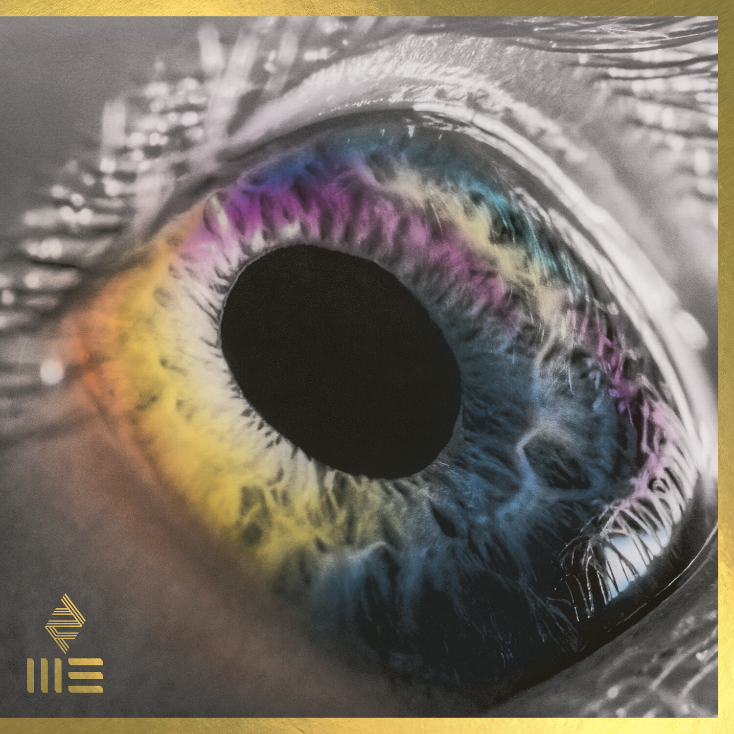 Arcade Fire WE (Vinyl LP) 12" Album