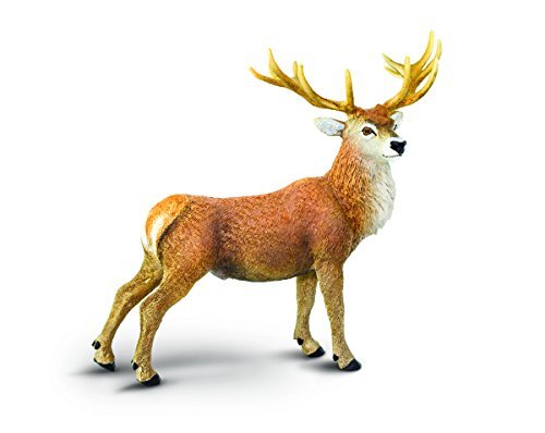Safari Ltd Wild Safari North American Wildlife Whitetail Buck By Safari Ltd. (En-image