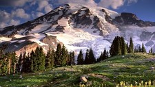 Landscape nature mountains usa trees clouds snow Custom Gaming Mat Desk