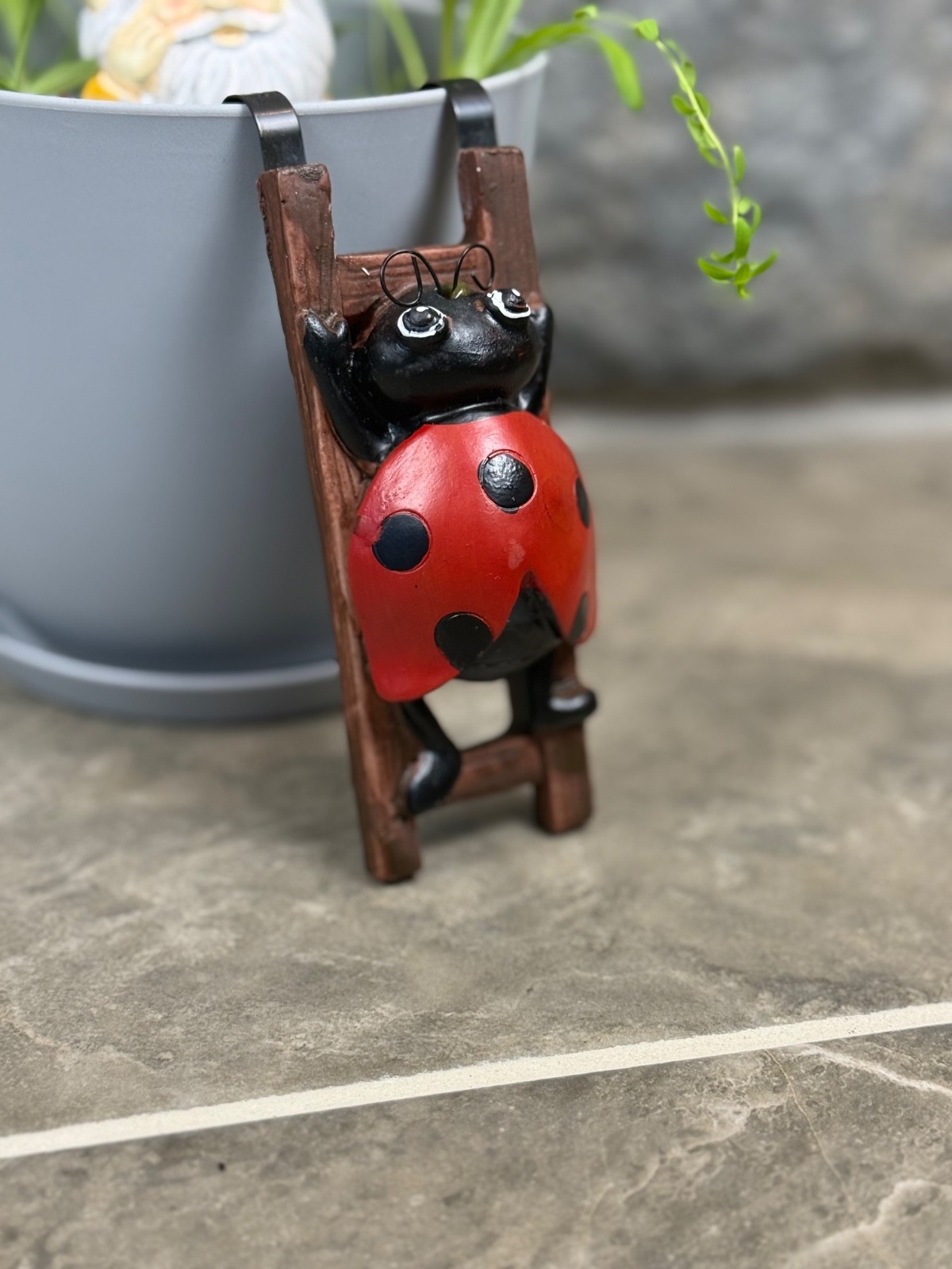 Funny Father's Day Gift Garden Kit for Dad -Grow Dammit! Gnome Plant Kit Novelty