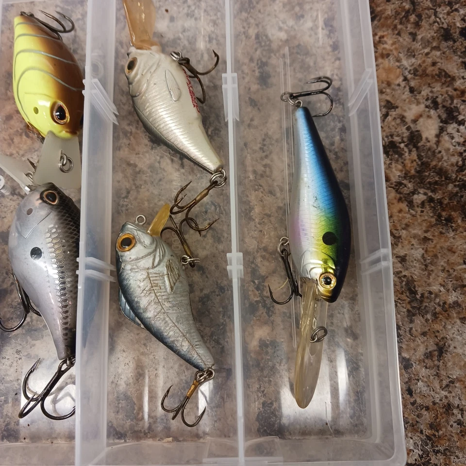Lote de 9 Crankbaits Cuadrados de Buceo Poco Profundo con Almacenamiento Diawa Matzou Foto 4 de 4