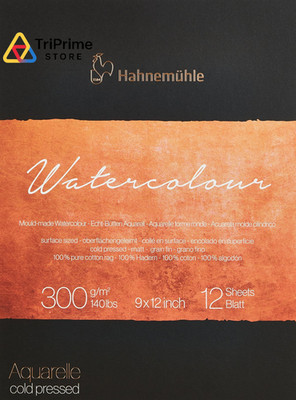 Hahnemuhle Collection Watercolor 300 Pad Cold Pressed 9x12 9'' x 12'', White