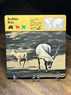 Arabian Oryx, 1977 Editions Recontre 4 3/4'' x 4 3/4'' Card