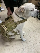 Dog Tactical Vest Harness XL Black