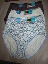 3 Pr. Vanity Fair Illumination Brief Panties Sz. 6  M NWT