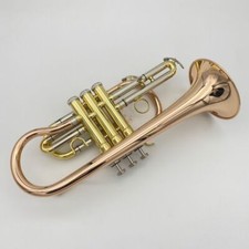Beginners Learning To Play Cornet with Good Sound Quality - New and High-quality