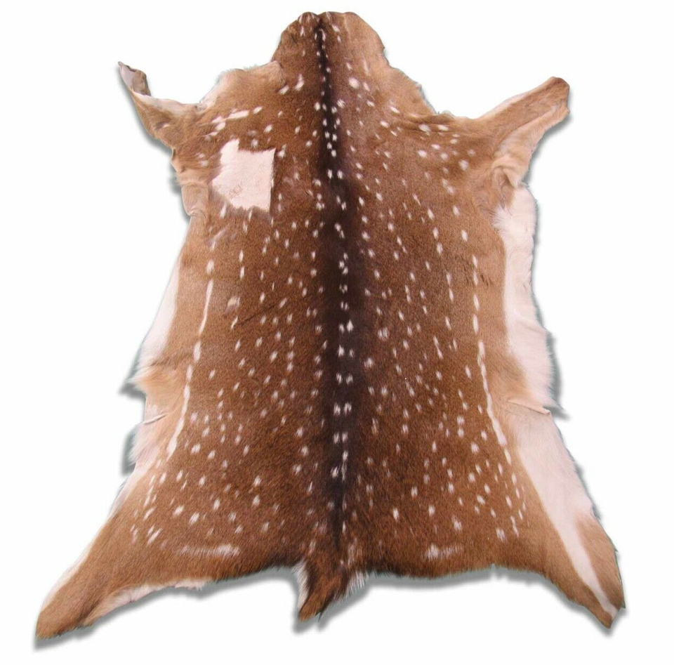 Axis Deer Skin Second Grade Axis Deer Hide Size: 38"X30" Chital deer ...