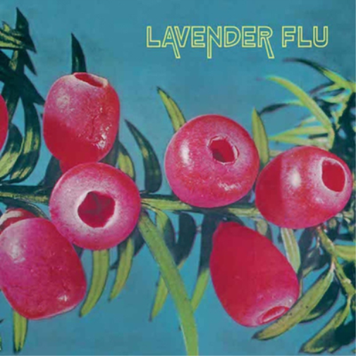 The Lavender Flu Mow the Glass (CD) Album