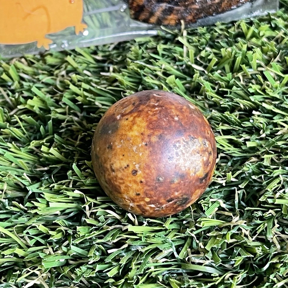 Tirador grande de principios del siglo XX Bennington marrón mármol Boulder Banger Bonker Foto 4 de 4