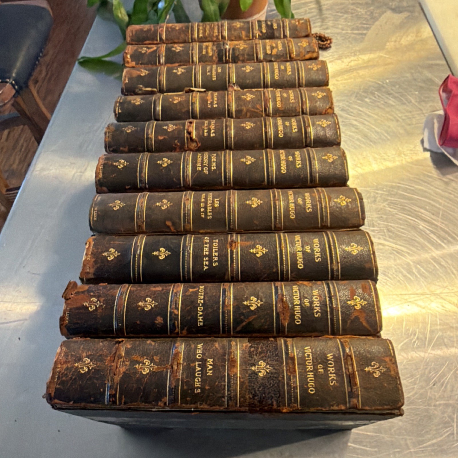 Victor Hugo Works Leather Illustrated Set Literature & Fiction English