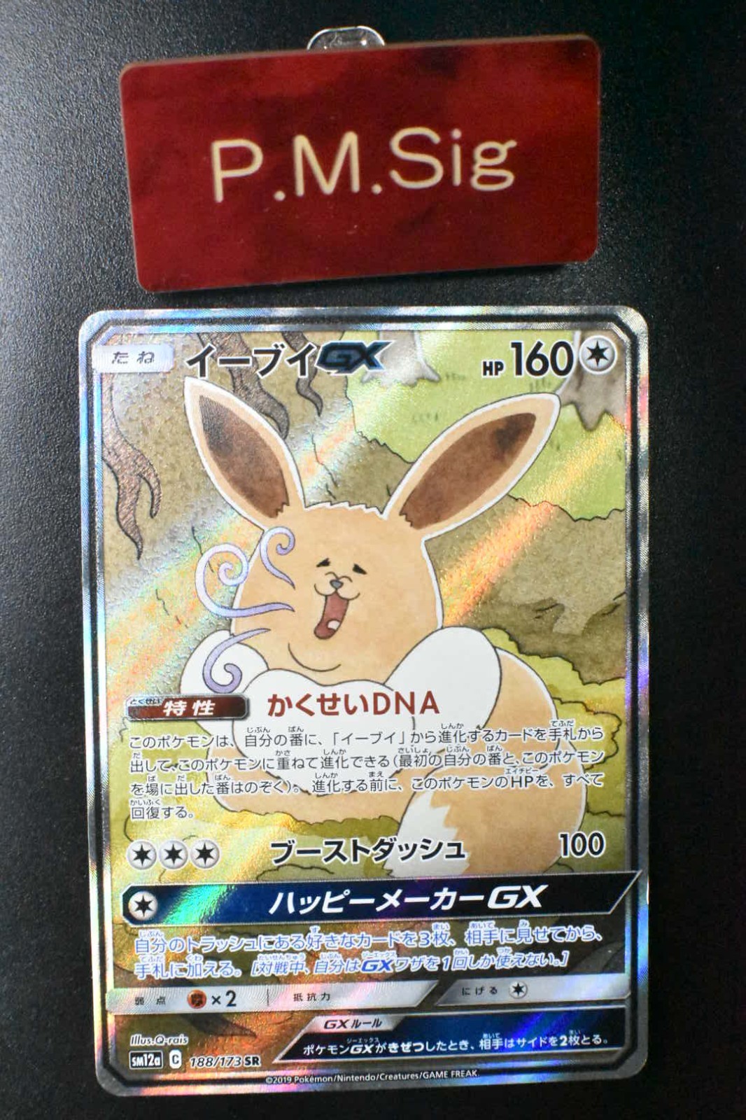 Eevee GX 188/173 Tag Team Gx All Stars 2019 SR Full Art Japanese Pokemon Card