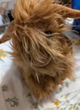 NWT Teddy Mountain “Hugo” The Highland Cow Stuffed Animal Plush 8 Inches (Rc1)