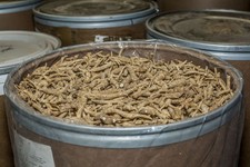 4oz 8oz 1LB Premium American Ginseng Wholesale Price            eBay   -NYC Seller